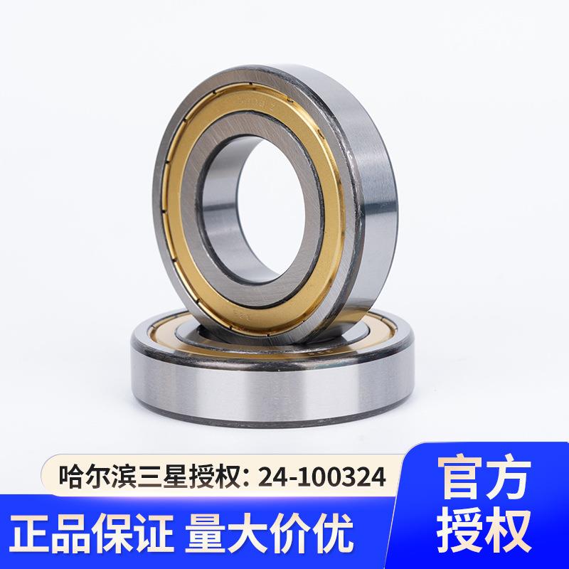 H5644RB哈尔滨轴Z承63166316-2ZZZ6321-6R2RS