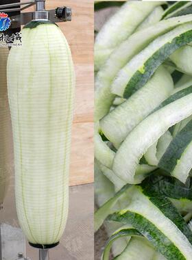 大型果瓜头削皮双西瓜机哈密瓜削皮59941机冬瓜南瓜去皮中央厨房