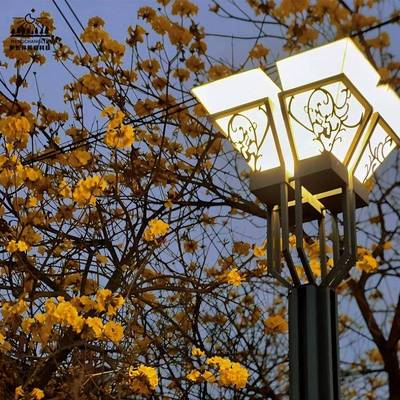 太阳能景园色观灯柱现代中式5米米6小区广MCL-ZSJG场公别墅特造型
