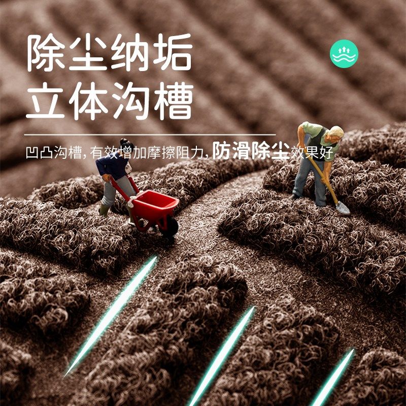 高端入户门地垫新款进门门口脚垫别墅门垫家用地毯耐脏免洗垫子,居家布艺,入户地垫,淘宝优惠券,粉丝福利购,淘宝优惠卷