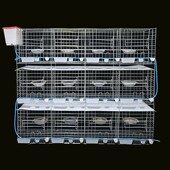 鸽子笼特大号养殖家用鸽棚12位信鸽繁殖笼16位鸽配对笼肉鸽养殖笼