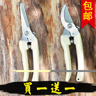 买一送一花剪修枝剪树枝剪刀园艺剪刀粗枝剪园林剪果树剪工具包邮