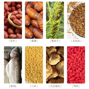 北京开元百灵饲料云雀百灵鸟食饲料鸟粮料 500克