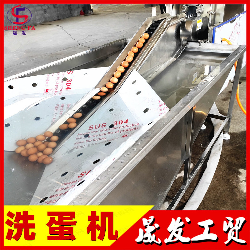 晟发商用全自动洗蛋机 鸡蛋鸭蛋单排清洗机 红泥蛋双排洗蛋机
