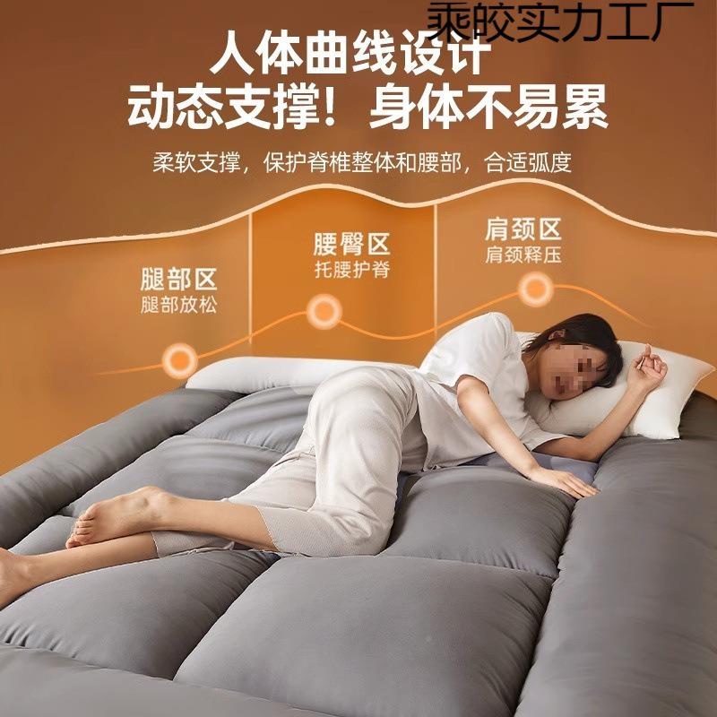 地垫睡垫榻榻地铺专用床乘皎实力米软垫家用塌卧室出租垫房可折叠
