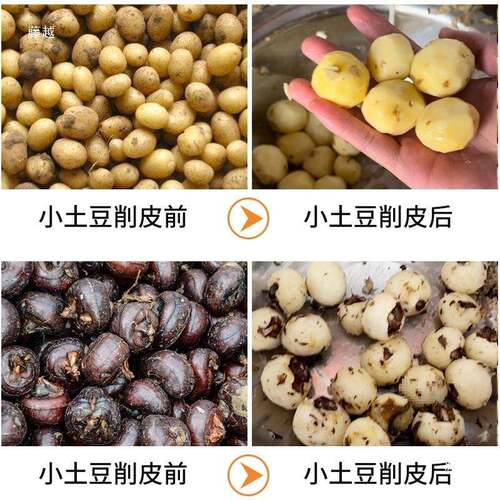 电马蹄去脱皮削机自动小土豆tlznu+j#皮机山楂大枣动皮小型商用葡