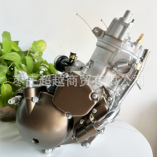 隆鑫两冲程250发动机恒舰卒玛两冲程MT250发动机总成DT230 克维思