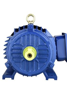 YE3电动机IGU极4kw5.5kKw全机铜线电机7.5KW114-15W械设备电动机