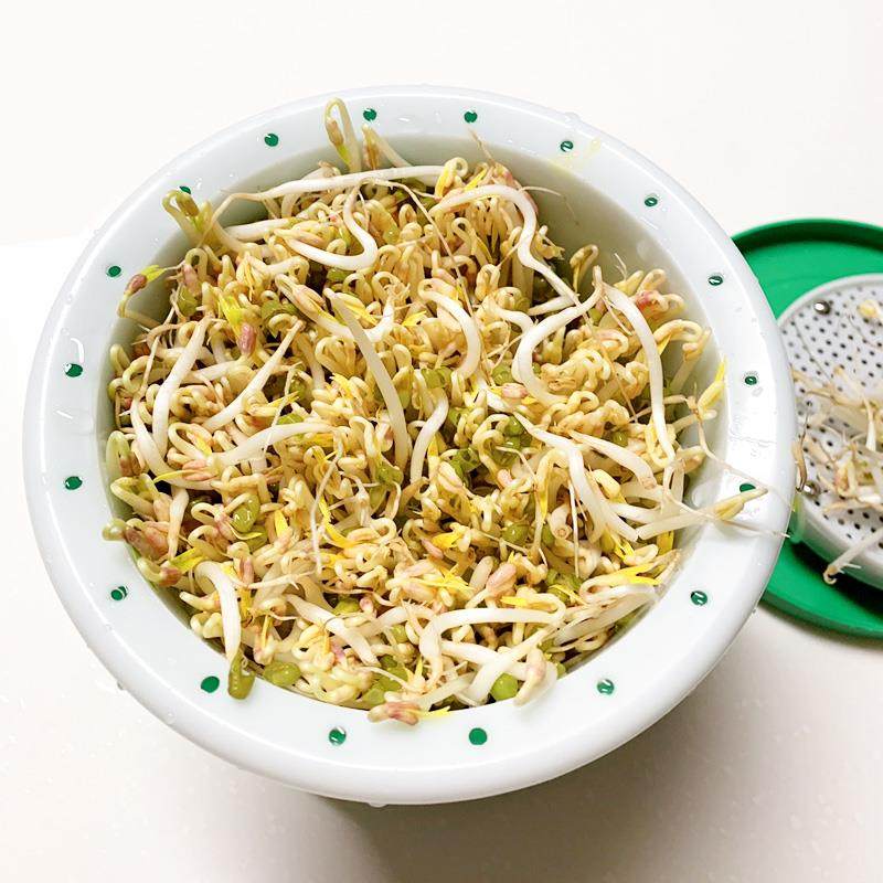 豆芽生绿豆芽机制泡发桶大容量全自家用小罐型121动自豆芽发芽云