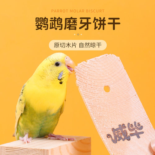 鹦鹉磨牙小零食虎皮玄风鸟笼用品墨鱼骨互动专用啃咬玩具饼干5片