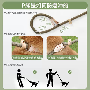 边境牧羊犬专用狗狗绳子防爆冲P链遛狗牵引绳防挣脱狗链子中大型