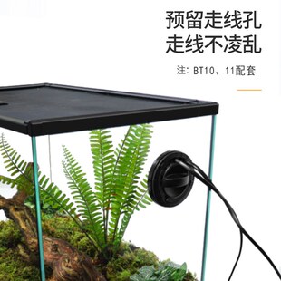 BG生态雨林造景爬宠饲养箱睫角守宫蜥蜴宠物蛇角蛙蜘蛛树栖玻璃缸