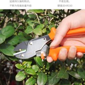 汪吾铨剪刀园艺剪刀修枝剪树枝剪家用花剪枝剪刀果树强力剪园林剪