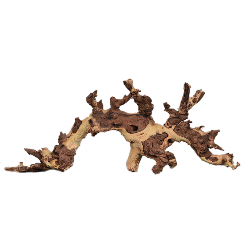 水族造景雨林缸珊瑚木水沉木天然枯木鱼缸装饰乌龟晒台紫柚木杜鹃