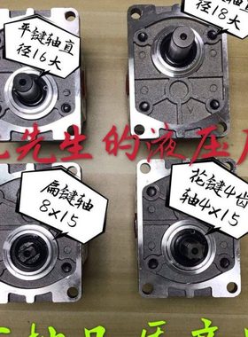 SAIRUI齿轮泵CBN-F303-CLP CBNS-F328-CLP8LN1