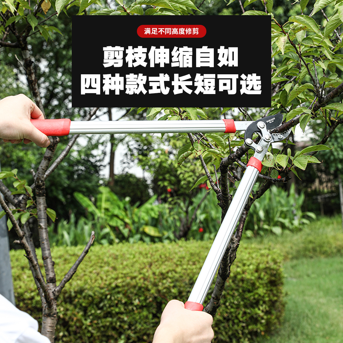 剪枝剪刀果树修枝修剪树枝修枝剪树枝园林大强力修树枝大力粗枝剪