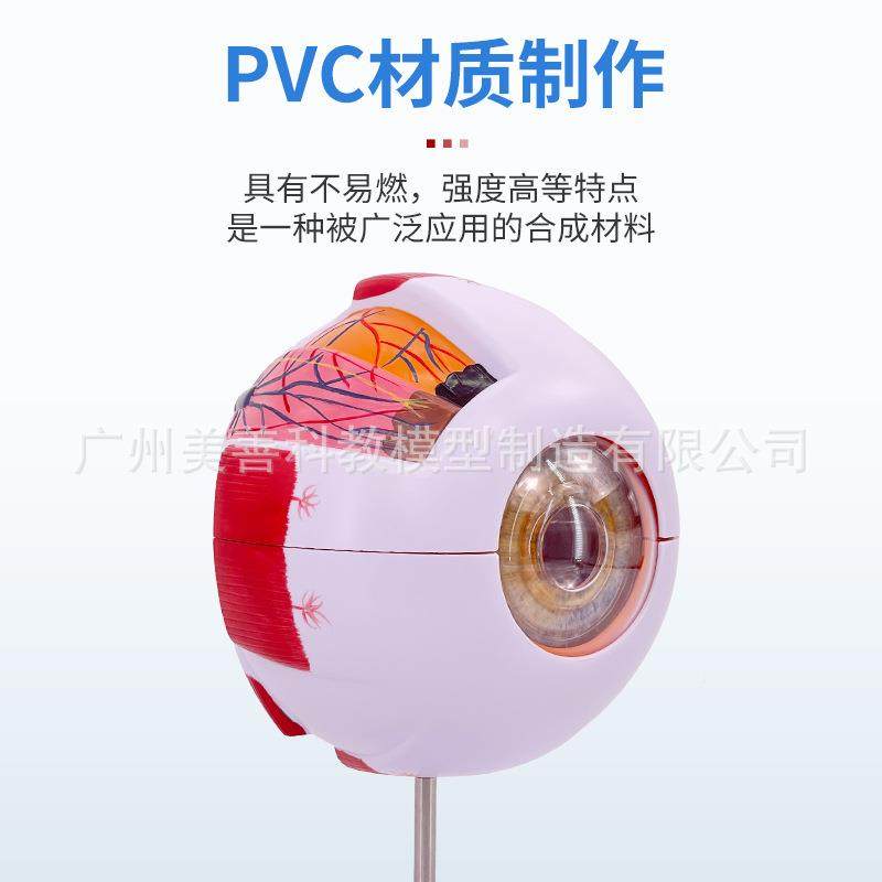 科倍学六放医大人172体眼球解剖模型眼睛解剖结构五官眼模型数字,文具电教/文化用品/商务用品,教学标本/模型,淘宝优惠券,粉丝福利购,淘宝优惠卷