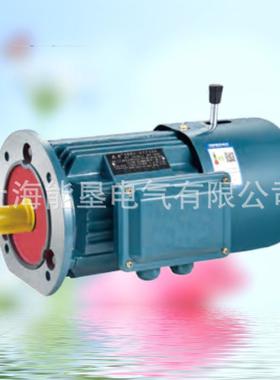 制马动电机EYJ系列电磁制动三相刹176380v异步电机立式车达