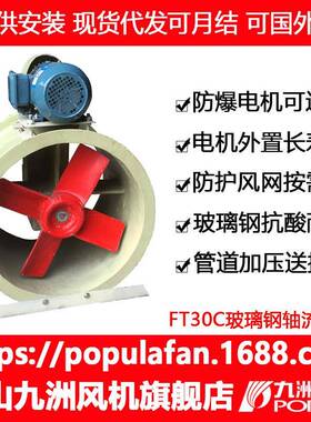 FRP风机九洲FT30CFRP岗位式电机外置FRP玻璃钢工业轴流低噪排风