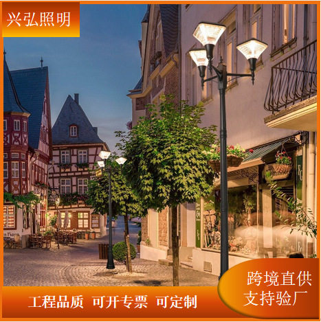 太阳能户外庭院灯天黑自动亮花园景观室外防水市电照明高杆路灯