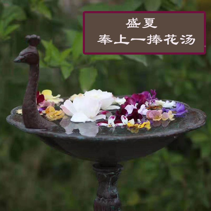 供式乡村铸铁装孔30006雀开屏喂鸟器花园直摆件别墅庭院美花架饰