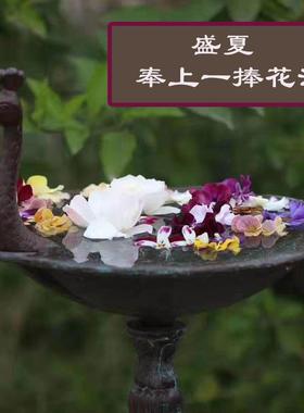 供式乡村铸铁装孔30006雀开屏喂鸟器花园直摆件别墅庭院美花架饰