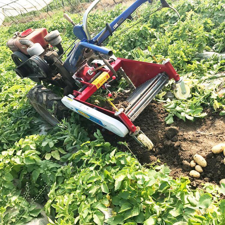 拖土拉机后GTU置豆收带获机新款挖红薯手扶车80CM机宽刨洋芋机