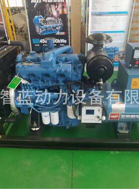 5YC250GF0KW柴油发电机D组静音玉柴250KW发电2机YC6MK350L-20