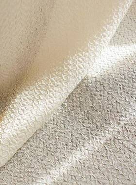 轻影奢法式客浮雕穗IAK店纱窗帘窗纱网红酒民宿卧室厅阳台不透人