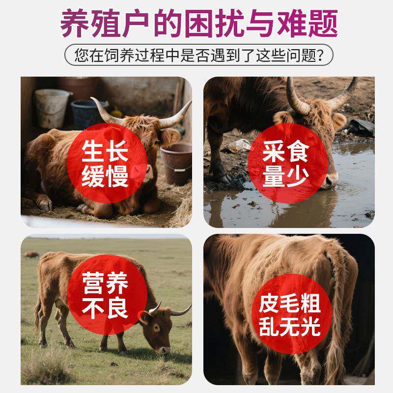 4牛专用N496预混料饲育肥牛%添加肉剂预混料牛复合料添加剂