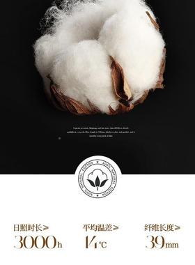 mhzc新款100支长绒棉四件季通用全棉印花被套床单床上套用品四纯