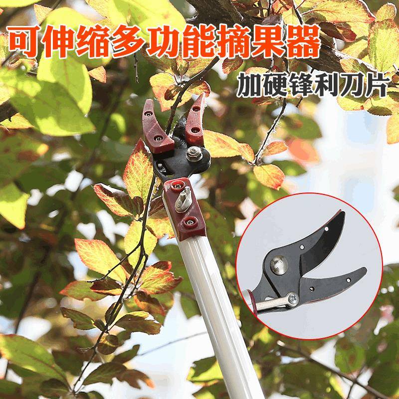 多能可枝伸缩摘果功器高空1.8-3米粗摘果采果剪园林高枝弯头修剪