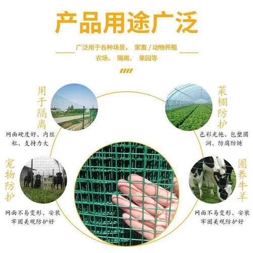 蔷薇季爬MWP藤铁丝网月植物爬墙藤网格曼面牵引网园墙艺爬藤网