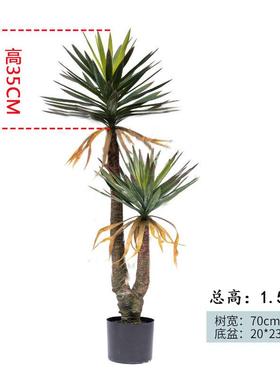 大型仿真剑物麻龙树龙舌兰假树血绿植AL102301植盆栽室内客厅景造