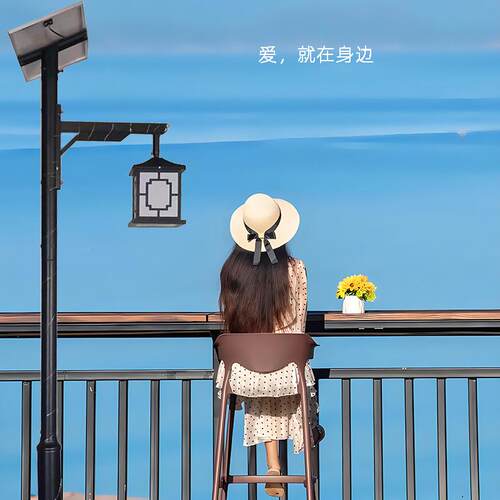花园墅区公园别小中式古露营场地景观仿装饰灯3米30W太PTW阳能庭