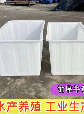 加厚塑料桶箱大号方桶水卖鱼箱养QCU周储转殖箱食品级水桶牛筋箱