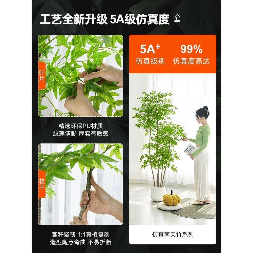 客天竹假花仿真花厅电视Yntz-02落柜装饰摆件轻奢高端地摆设南绿,鲜花速递/花卉仿真/绿植园艺,仿真花,淘宝优惠券,粉丝福利购,淘宝优惠卷