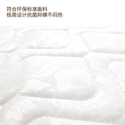 席梦思床REL垫酒店家用3天然椰宿1.E8米护脊民宿出租房舍弹簧棕床