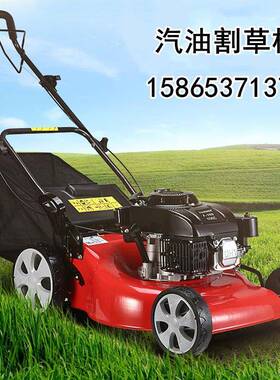 园林用草修剪机小型汽花园手推式除坪机公园绿AL-65539化修剪草草