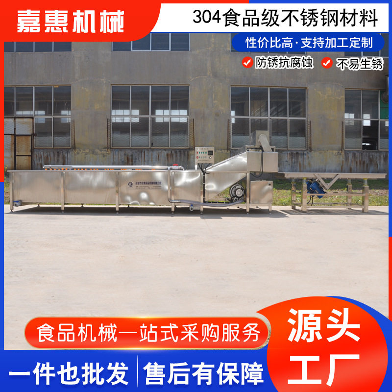 果蔬气泡清洗机 气泡草莓蓝莓水果清洗机 大型蔬菜清洗流水线