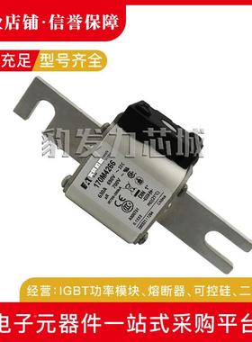 170M4430708TWW170M430910M4310170M4311170M431217M313熔断器