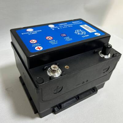 适用于比亚迪E5E6HEVE9秦Pro、汉EV、登扎X宋Pro起动机电池