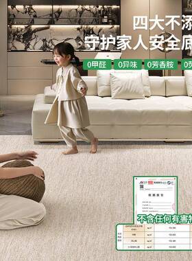 拆洗地毯客厅地新款防水kcx14825防可污可机洗奢高级轻感家用卧室