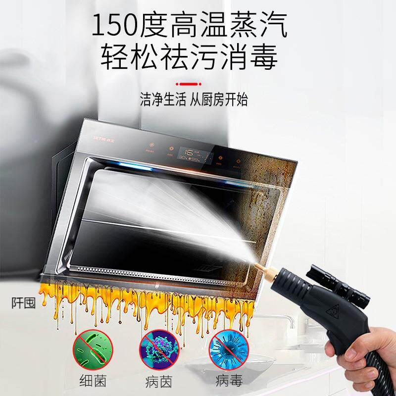 高温高压蒸汽能清洁机家商用油烟空调地暖管道机脉冲多功电清276