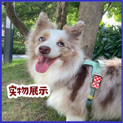 4G光GPS定位器语音唤宠声寻P宠GS精耗准定S315位IP67防水超低功宠