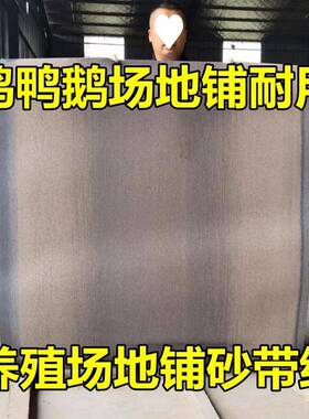 养殖殖旧砂纸鹅砂纸旧砂纸养鹅砂铺皮养场铺场地砂纸场XFD养地砂