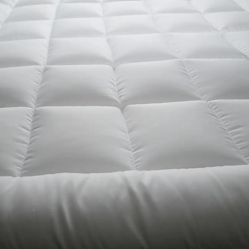 家用软宿垫卧室垫被褥子铺酒店民床垫租房垫卧室底加厚保暖450gsm