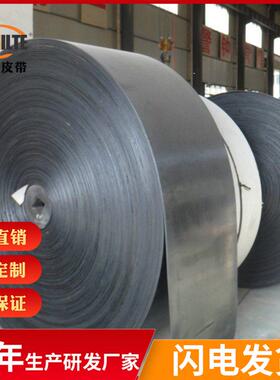 安带耐输送FYR厂家尼龙橡胶送带寒耐热防传滑耐磨帆布耐输送带