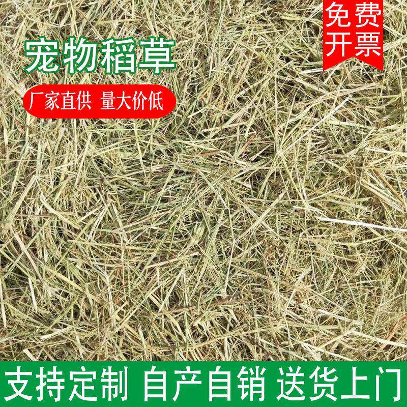 天JDN然干垛稻草稻做霉豆腐草遮阳摄影草子宠物羊牛草料创意干草