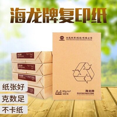 玖龙海龙复印纸a4 70g 80g打印纸白纸办公a4纸量大广东省送货上门